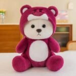 Customized Hoodie Bear | Teddy Bear