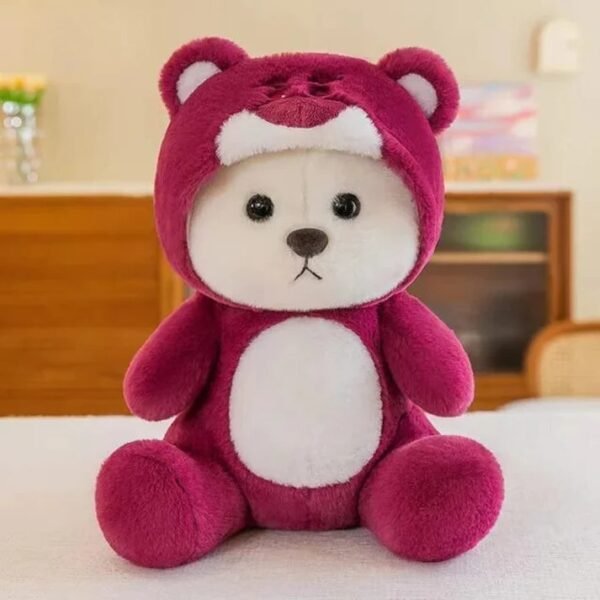 Customized Hoodie Bear | Teddy Bear