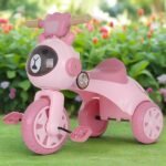 Adorable Bear Tricycle for Kids